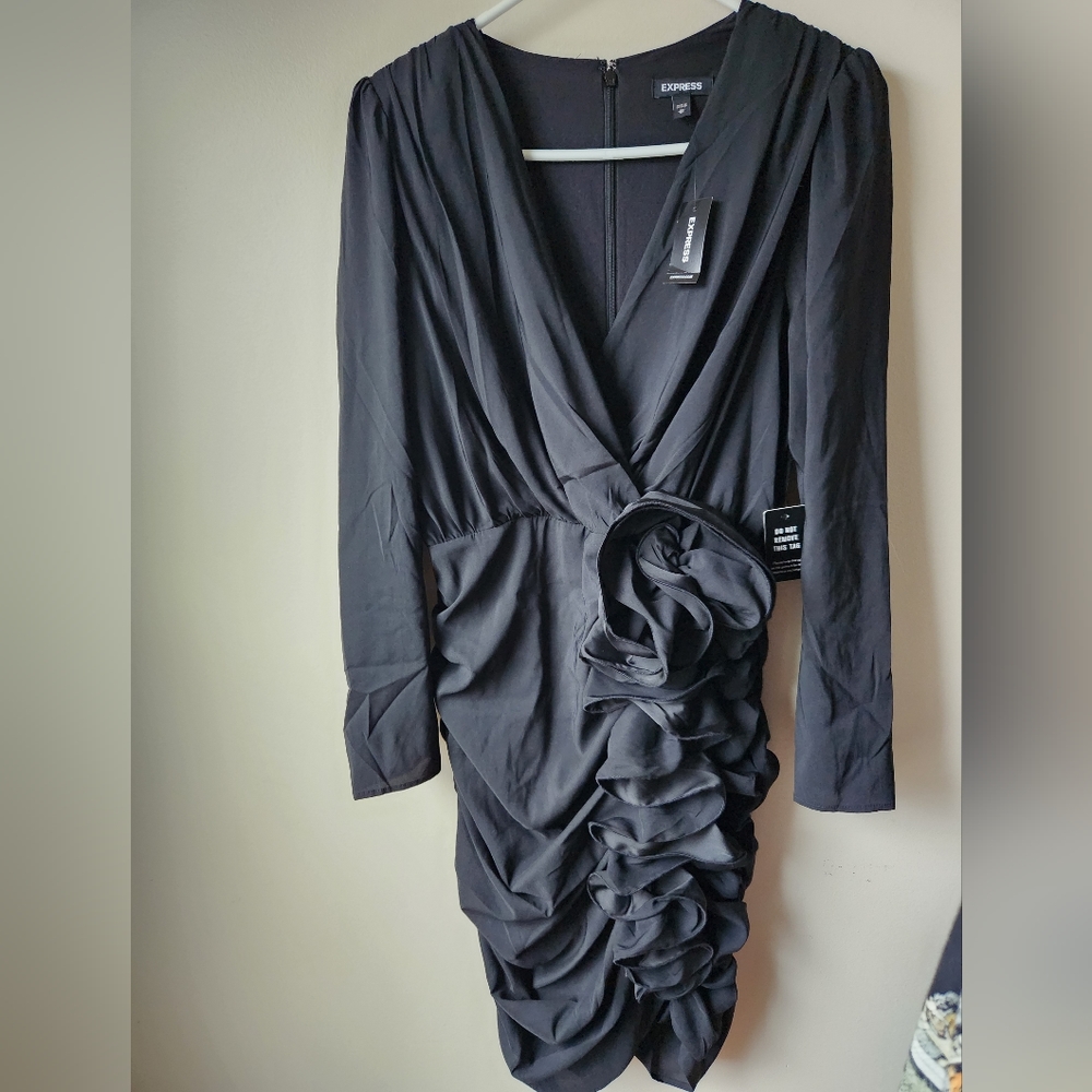 Express Scrunch Dress
